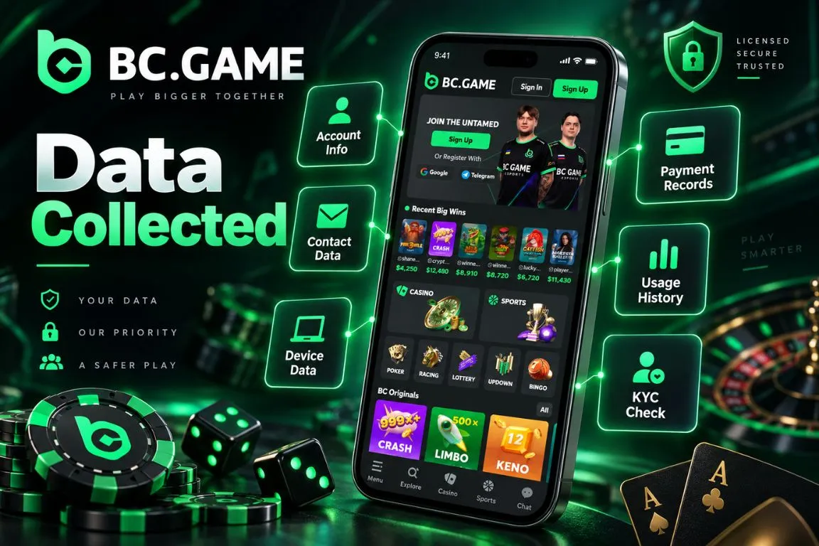 What Information Does BC Game Collect?